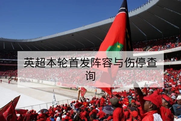 英超本轮首发阵容与伤停查询